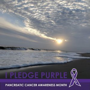 Meet your Posher, Alexandria